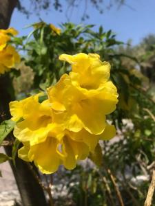 JA Lake View, Dubai - 82