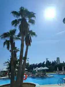 Selectum For Two Side - 46