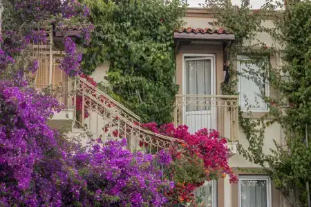 Moonshine & Suites - 4