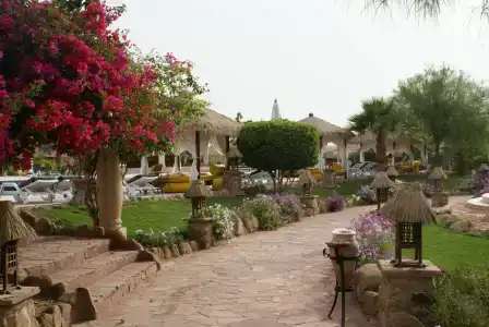 Pickalbatros Laguna Vista Aqua Park - Sharm El Sheikh - 2