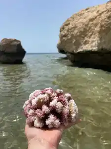 Amphoras Beach - 76