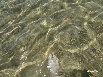 Armas Green Fugla Beach - 98