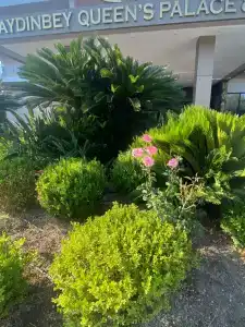 Aydinbey Queen’s Palace & SPA - 27