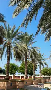 Corniche Abu Dhabi - 22