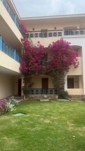 Ivy Cyrene Island Resort - 96
