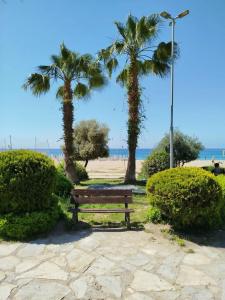 Arsi Blue Beach - 40