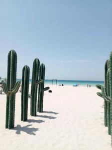 Marbella Resort - 75