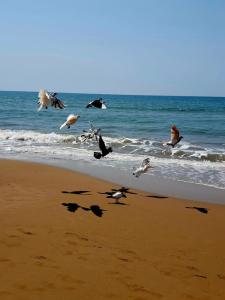 Adalya Resort & Spa Adults Only - Ultra All Inclusive - 68