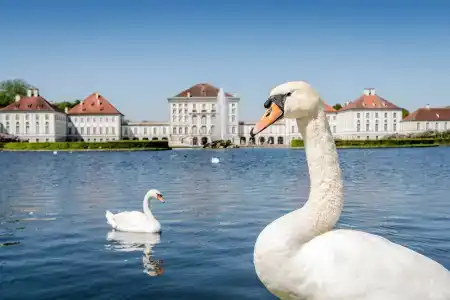 Laimer Hof am Schloss Nymphenburg - 5