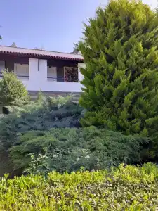 Bodrum Beach Resort - 28