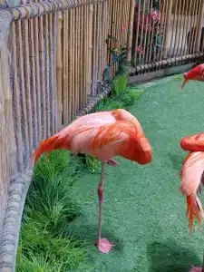 Park Hyatt Abu Dhabi and Villas - 33