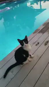 Bodrum Beach Resort - 16