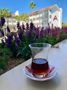 Armas Bella Sun - 21