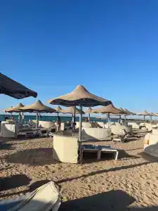 Sunrise Garden Beach Resort - 35