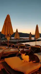 Poseidon - Adult Only - 10