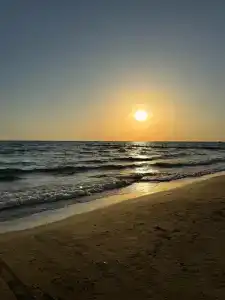 Side Palm D'or All Inclusive - 4