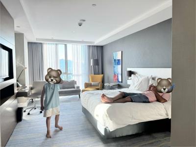 Radisson Blu, Kayseri - 26