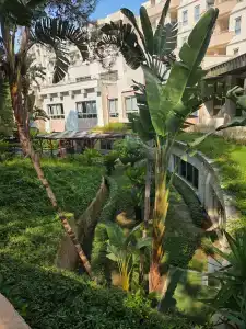 Suenos Beach Side - 90