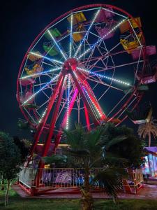 Club Turan Prince World - Kids Concept - 98