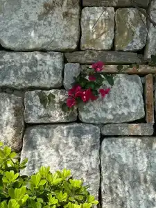 Casa De Maris Spa & Resort Adult Only 14 Plus - 33