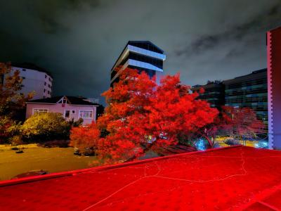 The Hera Premiums - 56