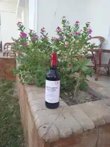 Empire Beach Resort - 54