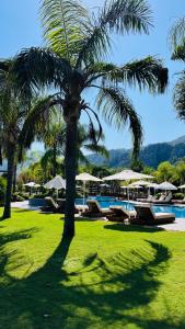 Kimera Lounge Boutique & Spa - 41