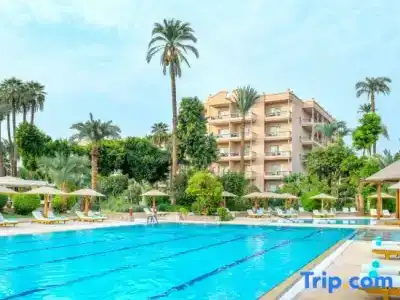 Pavillon Winter Luxor - 55