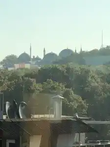 Golden Horn - 24