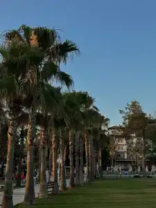 Loxia Comfort Club Side - 93