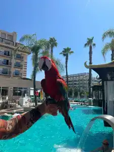 Crystal Family Resort & Spa - Ultimate All Inclusive - 36