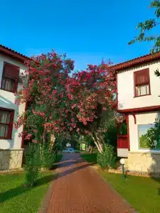 Ali Bey Club Manavgat - 12