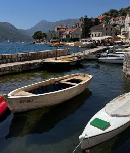 Heritage Grand Perast - 21