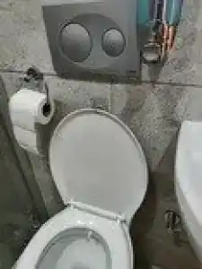 Sunlight Garden - 70