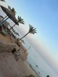 Renaissance Sharm El Sheikh Golden View Beach Resort - 78