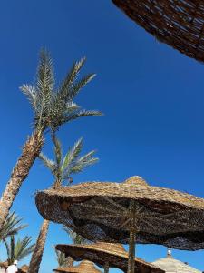 Cataract Resort Naama Bay - 61