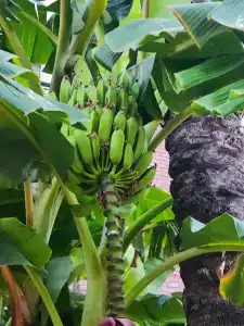 Crystal Aura Beach Resort & Spa - Ultimate All Inclusive - 93