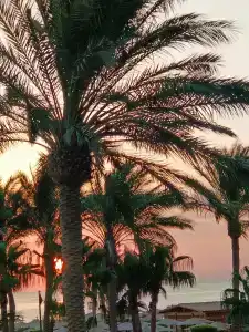 Sea Star Beau Rivage - 62