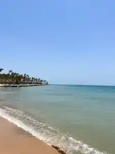 Palm Royale Resort - Soma Bay - 75