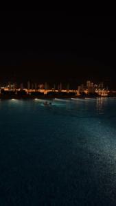 Taj Exotica Resort & Spa, The Palm, Dubai - 75