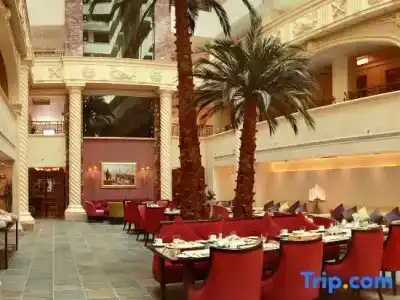 Sonesta Tower & Casino Cairo - 90