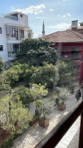 Alp Pasa - Special Class - 72