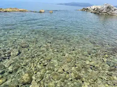 Pine Bay Holiday Resort - 74