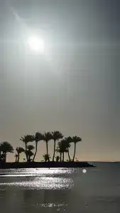 Continental Hurghada - 20