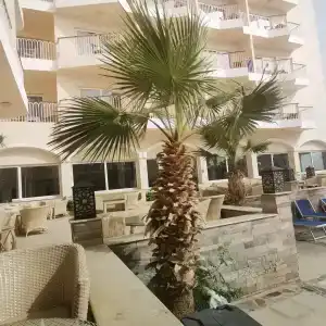 Royal Star Beach Resort - 67