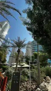 Hilton Dubai The Walk - 41