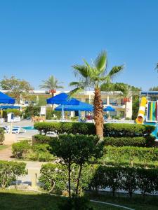 Cataract Resort Naama Bay - 71