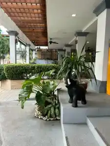 Karon Sea Sands Resort-SHA PLUS - 51