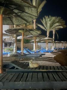 Sand Beach Resort - 73