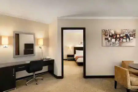 Ramada Plaza by Wyndham Dubai Deira - 51